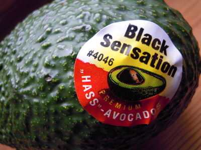 Hassavocado - Gemüse der Terrroristen